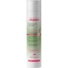 Glatten Garlic Therapy - Condicionador Óleo de Alho Força e Reparação 300ml Glatten Garlic Therapy - Condicionador Óleo de Alho Força e Reparação 300ml