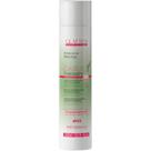 Glatten Garlic Therapy - Shampoo Óleo de Alho Força e Reparação 300ml