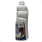 Glicopan Energy Suplemento Equino 1L - VETNIL