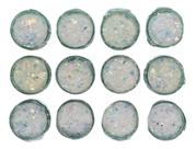 Glitter Encapsulado Para Decoração Unhas 12 Unid Gliter Glitter Encapsulado Para Decoração Unhas 12 Unid Gliter