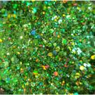 Glitters Flocados 12g (escolher cor)