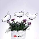 Globos De Plantas Autoirrigáveis Em Forma De Pássaro, Bulbos Transparentes Feitos À Mão, Recipientes