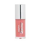 Gloss Labial Ruby Rose Blow Shine Like Sb20 5g Gloss Labial Ruby Rose Blow Shine Like Sb20 5g
