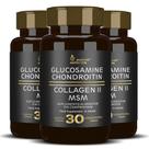 Glucosamin Condroitin Colageno tipo ll MSN Food Supplement in 90 Tablets - Alisson Nutrition