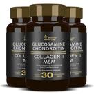 Glucosamin Condroitin Colageno tipo ll MSN Food Supplement in 90 Tablets - Alisson Nutrition