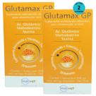Glutamax GP Para Animais 250ml Inovet Kit Com 2