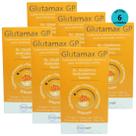 Glutamax GP Para Animais 250ml Inovet Kit Com 6