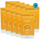 Glutamax GP Suplemento Para Animais 250ml Inovet Kit C/ 10