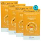 Glutamax GP Suplemento Para Animais 250ml Inovet Kit C/ 4