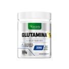 Glutamina Pura 100% Em Pó, Glutamine Pure - 300 Gramas - Denavita
