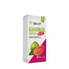 Goiaba Sem Açúcar Latam 66g