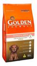 Golden filhote frango m b 10kg