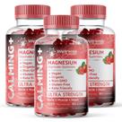 Gomas de Glicinato de Magnésio WellnessLabsRx 1000mg - Pacote com 3