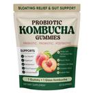 Gomas de Kombucha Probiótica SUUDUUL Sabor Pêssego 60 Veganas Gomas de Kombucha Probiótica SUUDUUL Sabor Pêssego 60 Veganas