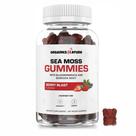 Gomas de Sea Moss Orgânica - 60 Cápsulas Veganas