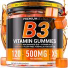 Gomas de vitamina B3 Premium Select Nutrition 500 mg 120 veganas Gomas de vitamina B3 Premium Select Nutrition 500 mg 120 veganas