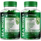 Gomas Sea Moss WELLNESS LABSRX 3200 mg com pacote de 2 Bladderwrack