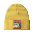 Gorro quente de inverno Raphs, chapéus, tricotado, desleixado, com punhos