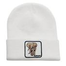 Gorros quentes de inverno da Elephants, tricotados, desleixados, com algemas