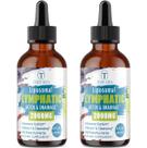 Gotas de desintoxicação e drenagem linfática lipossomal Tervaies 60mL Gotas de desintoxicação e drenagem linfática lipossomal Tervaies 60mL