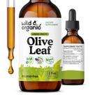 Gotas líquidas de extrato de folha de oliveira Wild & Organic 60mL