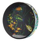 Gráfico de Ocean Drum Remo Fish 12 Gráfico de Ocean Drum Remo Fish 12