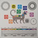 Gráfico Radiestesia Mdf Mesa Radiônica Gatos 30x30cm Com 6mm