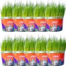 Grama Mister Para Gatos Bola De Pelo Kit 10 Unidades