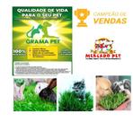 Grama pet natural para aces e gatos 55g