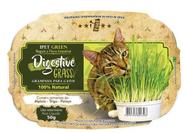 Graminha Digestiva Para Gatos
