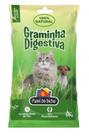 Graminha gatos 50g paiol do bicho Graminha gatos 50g paiol do bicho