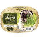 Graminha Ipet Green Digestive Grass para Cães