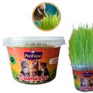 Graminha para Cães e Gatos Pró Feline 120g