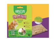 Graminha Para Gatos Aveia Alpiste Painço Natural Premium Pet