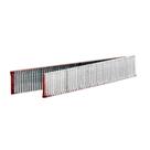 Grampo Pino 10 mm VT-10 Caixa com 1000 unidades 289861000 Vonder