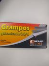 Grampos galvanizado a