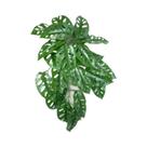 Grandes Folhas Artificiais De Monstera 30-76cm, Plantas Falsas Para Parede, Folhas Falsas De Grandes Folhas Artificiais De Monstera 30-76cm, Plantas Falsas Para Parede, Folhas Falsas De