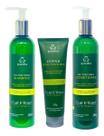 Grandha Vector Force Cacho Kit Shampoo Condicionador Leavein