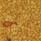 Granola Premium Zero Açúcar 100g Crocância Natural, Sabor Equilibrado e Perfeita para um Café da Manhã Saudável Granola Premium Zero Açúcar 100g Crocância Natural, Sabor Equilibrado e Perfeita para um Café da Manhã Saudável