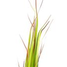 Grass Artificial Print Com Pote Real Toque Verde 2t 120 Cm F04 - D'rossi