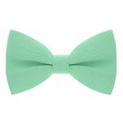Gravata-borboleta clássica pré-amarrada Bow Tie House Babies verde menta