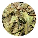 Graviola Folha 250g (Erva Desidratada)