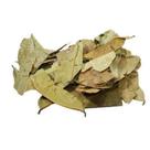 Graviola Folhas 100Gr (Erva Seca)