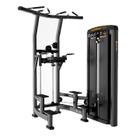 Graviton Barra Fixa Paralela Com 100 Kg Linha Platinum LTBH10 LuminaFIT
