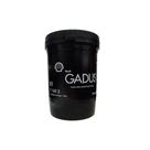 Graxa Multiuso para Rolamentos Gadus S1 V160 2 Mineral 1kg - Shell 0915479