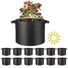 Grow Bags Simple Deluxe 19L, pacote com 12 unidades, tecido não tecido preto