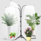 Grow Light Hodec 80W 60 LED 500K de espectro total com suporte