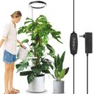 Grow Light LORDEM 10 Full Spectrum 160 LEDs para plantas de interior