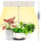 Grow Light LORDEM Full Spectrum LED para plantas de interior