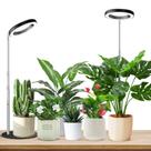 Grow Lights Aokrean Full Spectrum 80 LEDs para plantas de interior